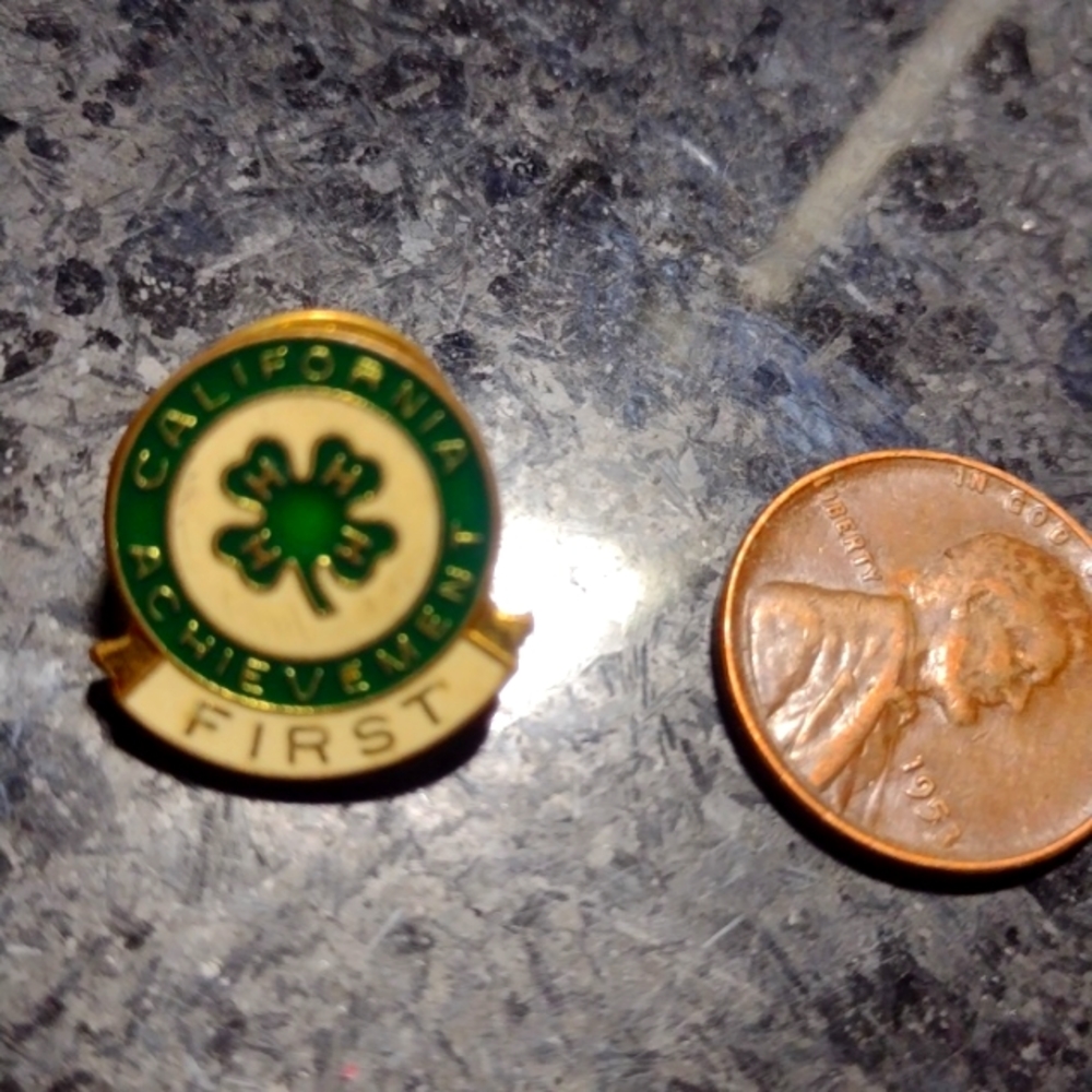 Pin first achievement pin